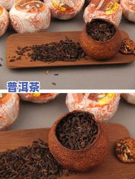 普洱茶掌柜-普洱茶掌柜小玲