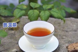 普洱茶有没有补肾的功效，探究普洱茶的补肾功效：科学解析与实证研究