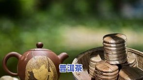 巨型普洱茶福字，全球更大普洱茶福字亮相，弘扬传统文化