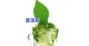 薄荷叶制作茶叶的方法，如何用薄荷叶制作美味的茶叶？