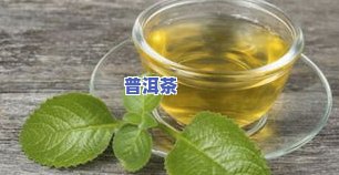 薄荷叶制作茶叶的方法，如何用薄荷叶制作美味的茶叶？