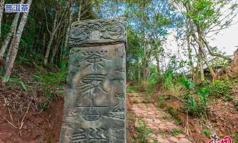 普洱茶马古道抖音视频-普洱茶马古道攻略