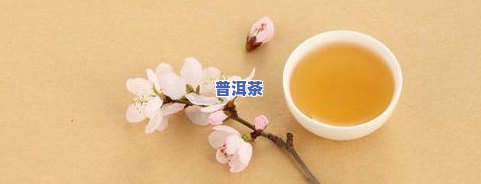 普洱茶大茶是台地茶吗-普洱茶大茶是台地茶吗为什么