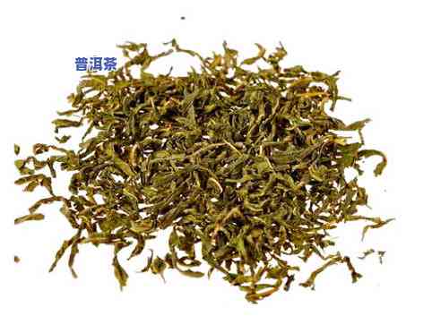 怎么制作桑叶桑叶茶，简单易学：如何制作美味的桑叶桑叶茶？