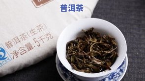 尊享普洱茶叶的价钱是多少，探究尊享普洱茶叶的市场价格，你需要知道的一切