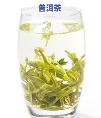 哪里的龙井茶更好，探寻龙井茶之源：哪里的龙井茶口感更佳？