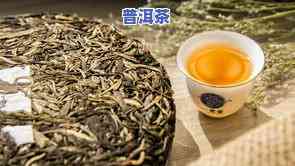 普洱茶8328，探索普洱茶的魅力：8328品种的独特之处