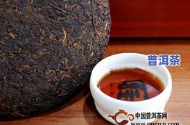 澜沧景迈普洱茶纪念版-07年澜沧茶厂景迈普洱茶