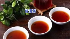 古树普洱茶紫御-紫御普洱茶业出品