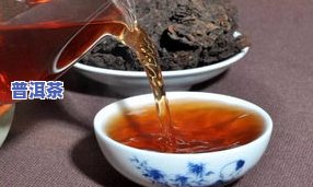 古树普洱茶紫御-紫御普洱茶业出品