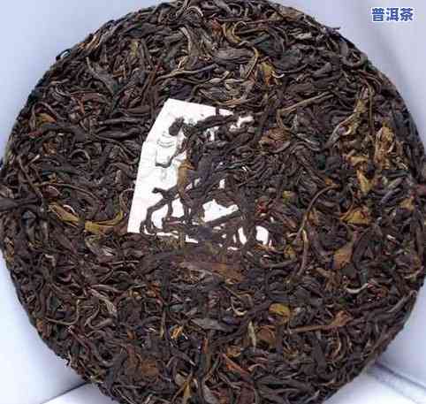 古树紫芽普洱茶怎么泡-古树紫芽普洱茶怎么泡好喝