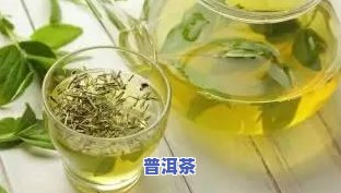 冰岛散茶怎么储存，怎样正确储存冰岛散茶？关键步骤大揭秘！