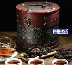 菩提缘大益普洱茶品饮-大益 菩提缘