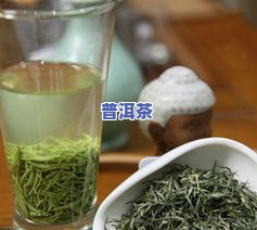 信阳为何适合种茶叶-信阳为何适合种茶叶呢