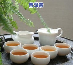 一定有你喜欢的普洱茶是什么茶，寻找你的更爱：普洱茶的魅力与种类