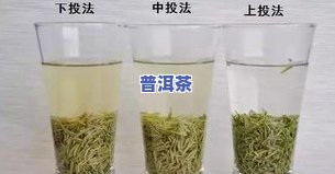 更好的碧螺春图片，惊艳！揭秘更好的碧螺春茶叶，让你一饱眼福！