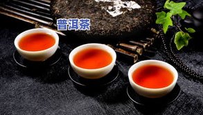 广东普洱茶，探寻广东普洱茶的魅力：品质、历史与文化