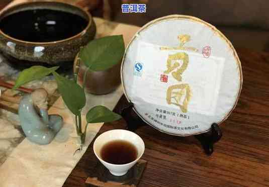 广州普洱茶叶场，探索广州普洱茶叶场：品味茶文化的魅力