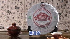 普洱茶12生肖茶饼，探索传统茶文化：品鉴普洱茶12生肖茶饼的特别魅力