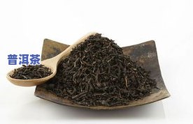 云南普洱茶茶王，探寻云南普洱茶的王者之源——茶王的故事与魅力