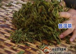 普洱茶打造工艺流程图解-普洱茶打造工艺流程图解视频