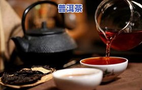 普洱茶宁波-宁波普洱茶哪家好