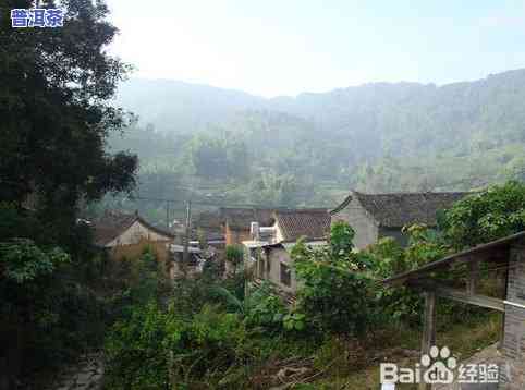 云南凤山普洱茶产地在哪里-云南凤山普洱茶产地在哪里啊