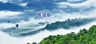 云南凤山普洱茶产地在哪里-云南凤山普洱茶产地在哪里啊