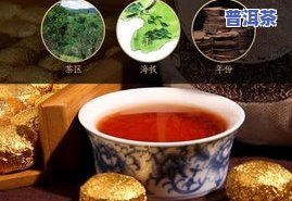 糯米普洱茶排名前十名-糯米普洱茶什么牌子好