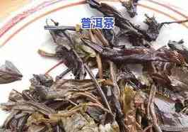 普洱茶里的香叶有吗，普洱茶中的香叶是否具有性？