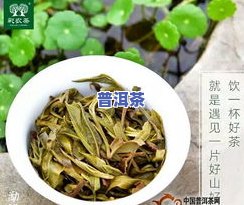 普洱茶玲珑小饼价格表，最新普洱茶玲珑小饼价格表，一目了然！