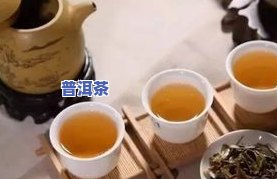 普洱茶交流最火的网站，探讨普洱茶爱好者必去的交流平台：最火的站推荐