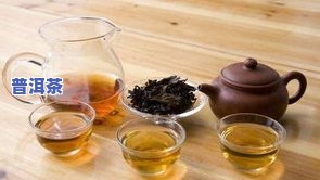 安化黑茶与普洱茶的功效区别，深度解析：安化黑茶与普洱茶的六大功效有何不同？