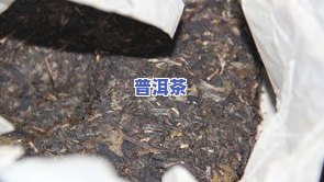 青普洱茶发霉味怎么办，如何去除青普洱茶的发霉味？