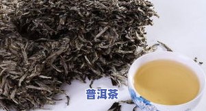 白茶好喝还是普洱茶好喝，白茶与普洱茶：口感对比，哪一种更胜一筹？