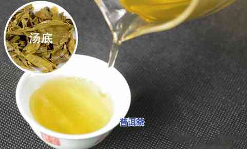 哪款普洱茶值得收藏，精选推荐：哪些普洱茶值得收藏？