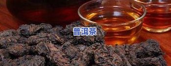 东来普洱茶特点，揭秘东来普洱茶的独特特点与魅力