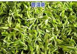 成都最有名的茶叶，品味成都：探索最著名的茶叶品种