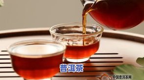 金针普洱茶叶价格熟茶，金针普洱茶叶熟茶价格一览，品味传统韵味与健康享受