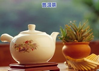 普洱茶一般卖哪里的-普洱茶一般卖哪里的好