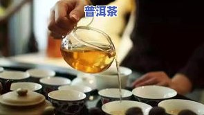 惠来那里好玩喝茶，探寻广东惠来的茶文化：哪里更好玩，又有哪些特色茶园值得一游？