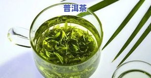 茶叶纯露用哪种茶叶更好，寻找更佳茶叶：茶叶纯露的制作中，哪种茶叶最适合？