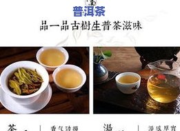 普洱茶的三标齐全是哪三标-普洱茶的三标齐全是哪三标呢