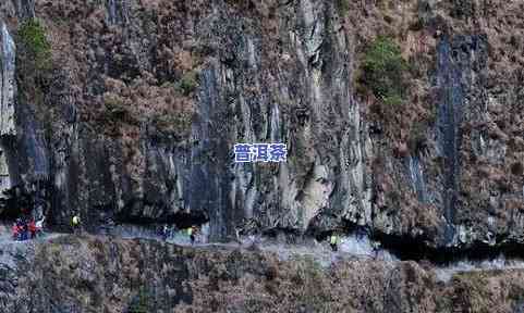 云南普洱茶原产地直播-云南普洱茶的原产地