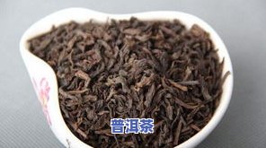 台地茶和古树茶哪个好，台地茶与古树茶：口感、品质、价格的全面对比