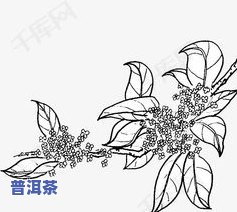 幼儿普洱茶乡简笔画，手绘教程：简单易学的幼儿普洱茶乡简笔画画法