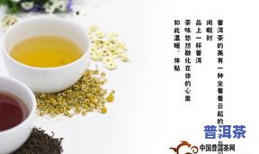 普洱茶正确喝法大全，详解普洱茶的正确饮用方法大全