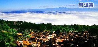 昆明普洱茶场在哪里，寻找好茶？昆明普洱茶场地址全攻略