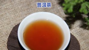 仓吉益号普洱茶-仓吉益号普洱茶什么样