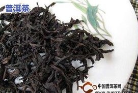 老陈普洱茶功效作用，深入了解老陈普洱茶的神奇功效与作用